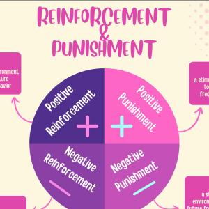 Reinforcement & Punishment Study/Parent Education Handout